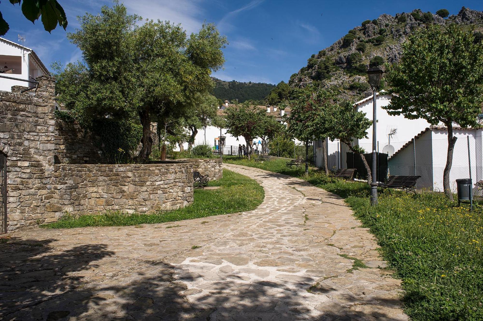 Casa Rural San Jose Grazalema Exterior foto